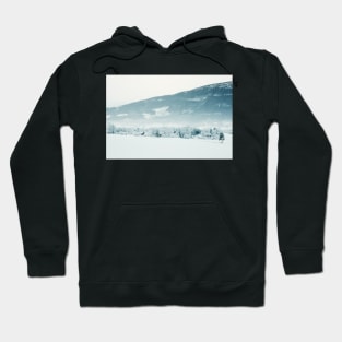 Snowfall in Scandinavian Winter Landscape Hoodie